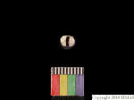 L_V23d1081 J1q673.1 Ux04 dM bd f203.jpg L_V23d1081 J1q673.1 Ux04 dM bd f203